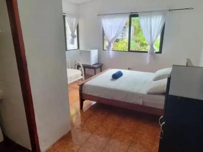 Papaya Guesthouse - 43