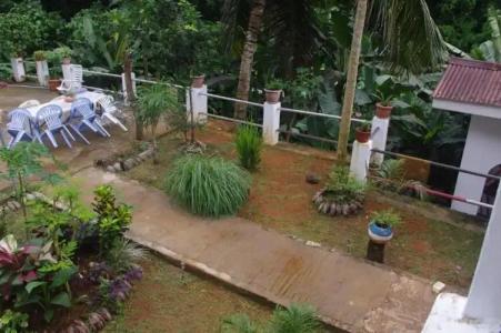 Papaya Guesthouse - 33