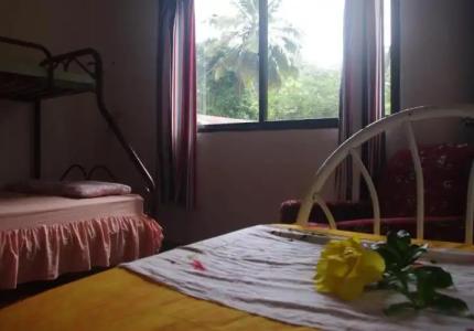 Papaya Guesthouse - 30