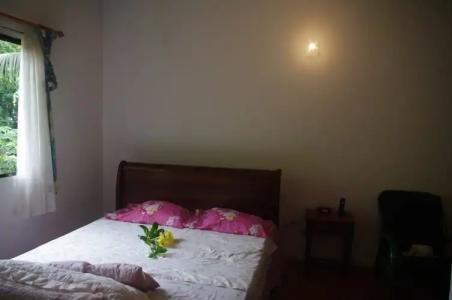 Papaya Guesthouse - 25