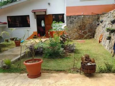 Papaya Guesthouse - 11