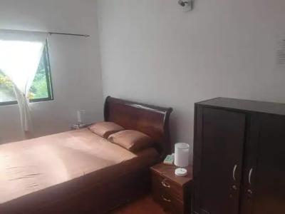 Papaya Guesthouse - 44