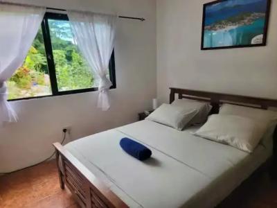 Papaya Guesthouse - 24