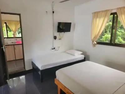 Papaya Guesthouse - 19