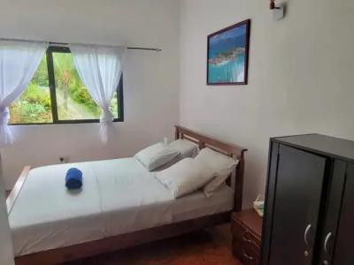 Papaya Guesthouse - 45