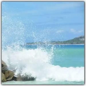 Cap Jean Marie Beach Villas - 4