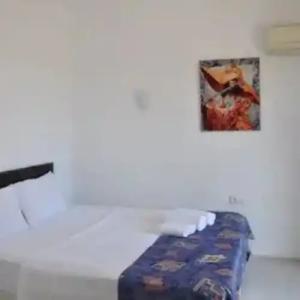 Adrasan Shambala - 19