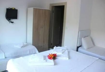 Adrasan Shambala - 17