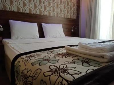 Dolphin Apart & - 173