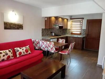 Dolphin Apart & - 202