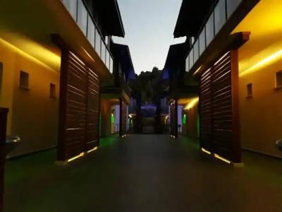 Dolphin Apart & - 64