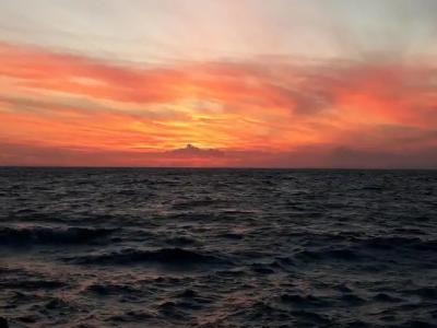 Dolphin Apart & - 140