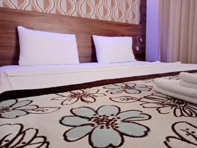 Dolphin Apart & - 166