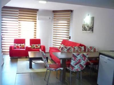 Dolphin Apart & - 195