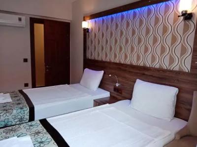 Dolphin Apart & - 117