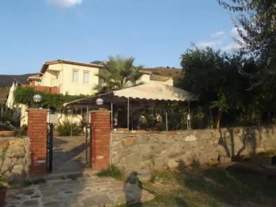 Dolphin Apart & - 69