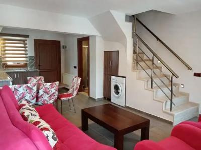 Dolphin Apart & - 85