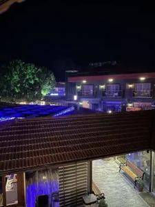 Dolphin Apart & - 101