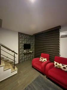 Dolphin Apart & - 84