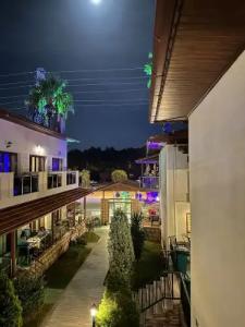 Dolphin Apart & - 96