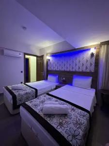 Dolphin Apart & - 72