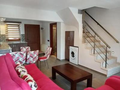 Dolphin Apart & - 200