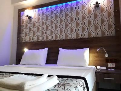 Dolphin Apart & - 100