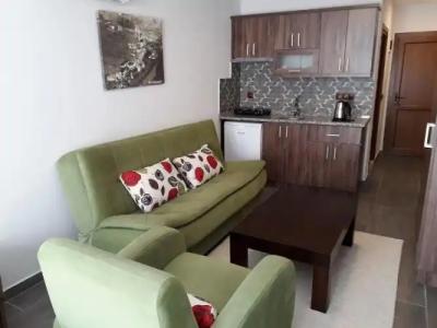 Dolphin Apart & - 60