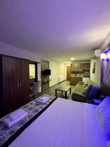 Dolphin Apart & - 185