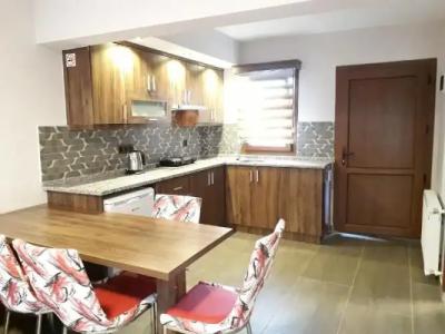 Dolphin Apart & - 55