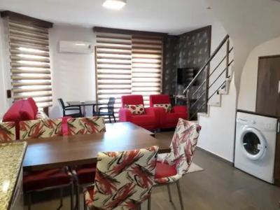 Dolphin Apart & - 65