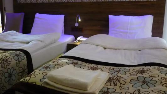 Dolphin Apart & - 159