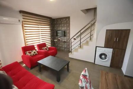 Dolphin Apart & - 206