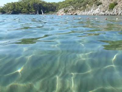 Dolphin Apart & - 142