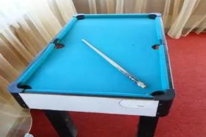 Recreation Center Dolphin