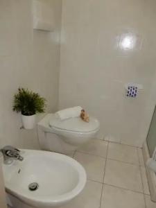 San Giorgio - 44