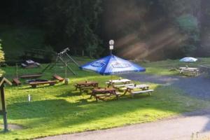 Penzion Lesní Zátiší- Guest house, Harrachov