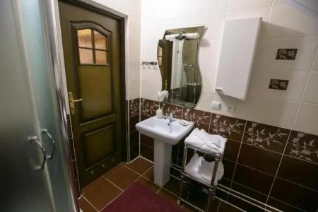 Pansionat Bogema - 45