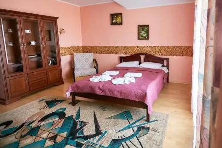 Pansionat Bogema - 30