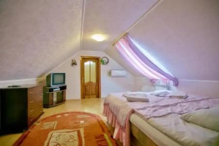 Pansionat Bogema - 29