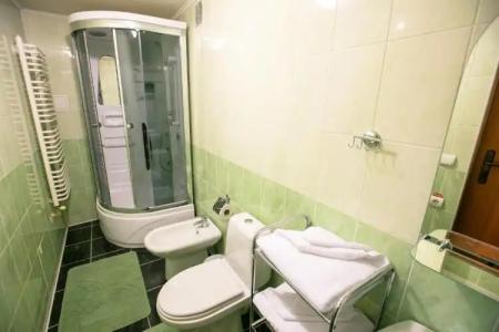 Pansionat Bogema - 17