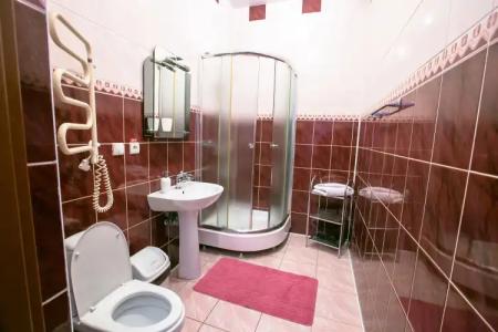 Pansionat Bogema - 6