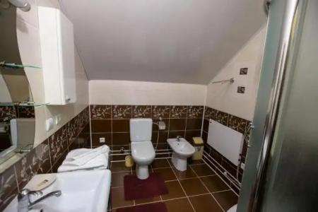 Pansionat Bogema - 46