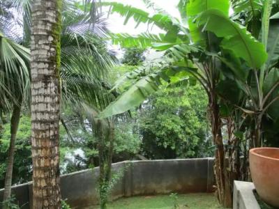 Chalets Bougainville - 135