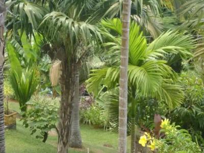 Chalets Bougainville - 32