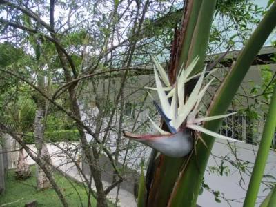 Chalets Bougainville - 131