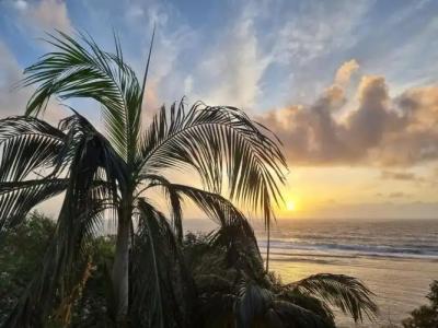 Chalets Bougainville - 156