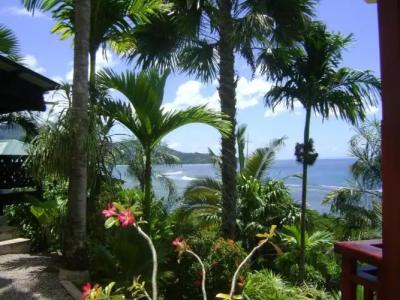 Chalets Bougainville - 30