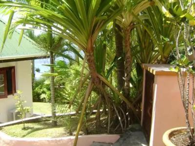 Chalets Bougainville - 91