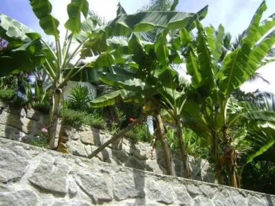 Chalets Bougainville - 84